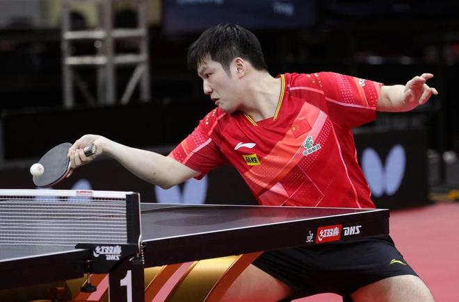 称号的坚实 称号的坚实